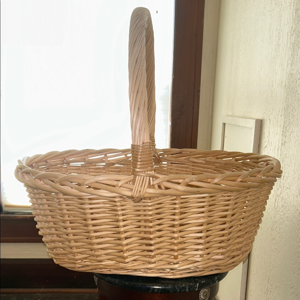 Natural Wicker Handled Basket - Cream